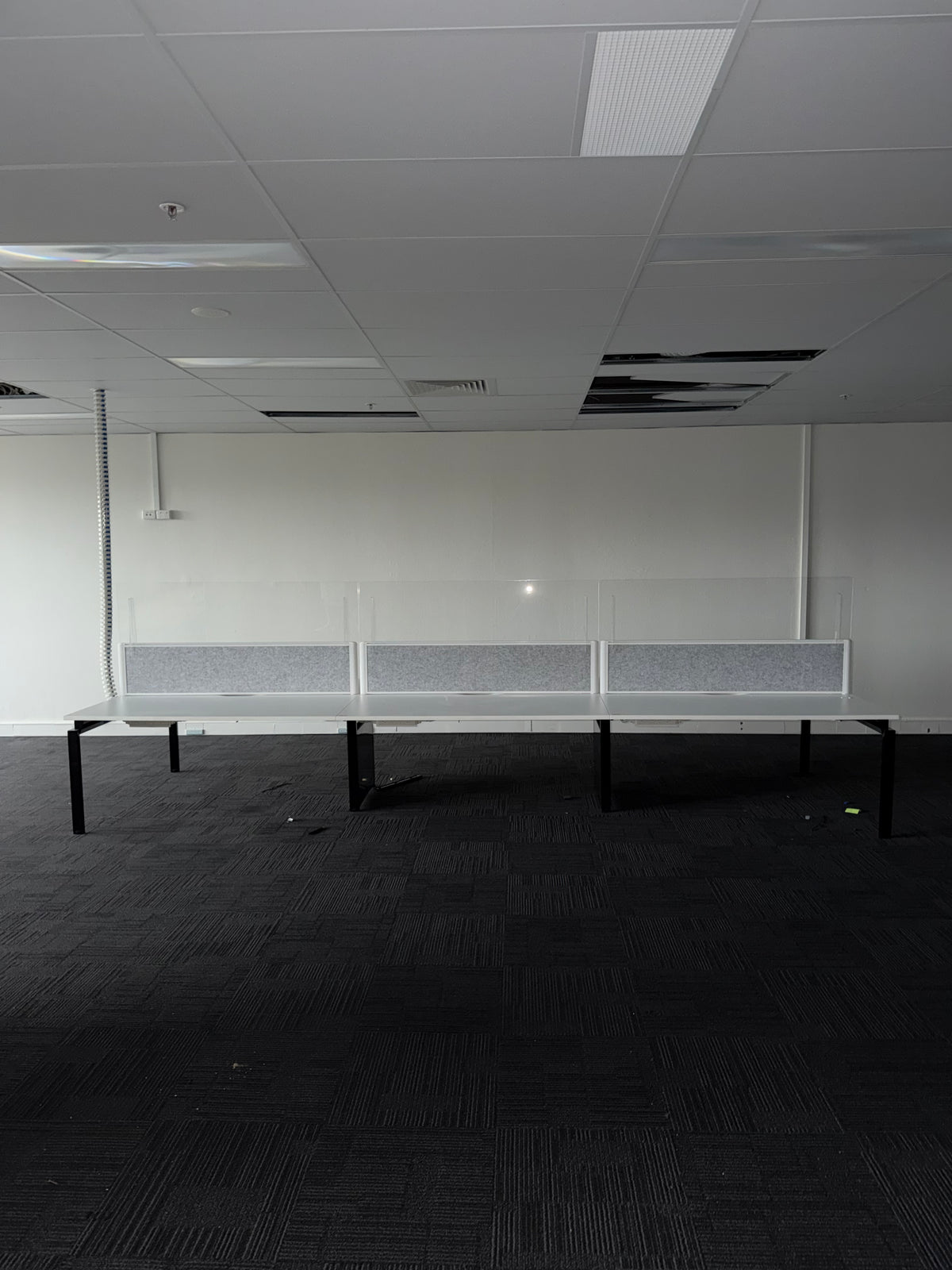 A long row of white benches with clear plastic dividers and black metal legs, set against a plain white wall in a large, empty office or studio space with a dark patterned carpet and a suspended ceiling.