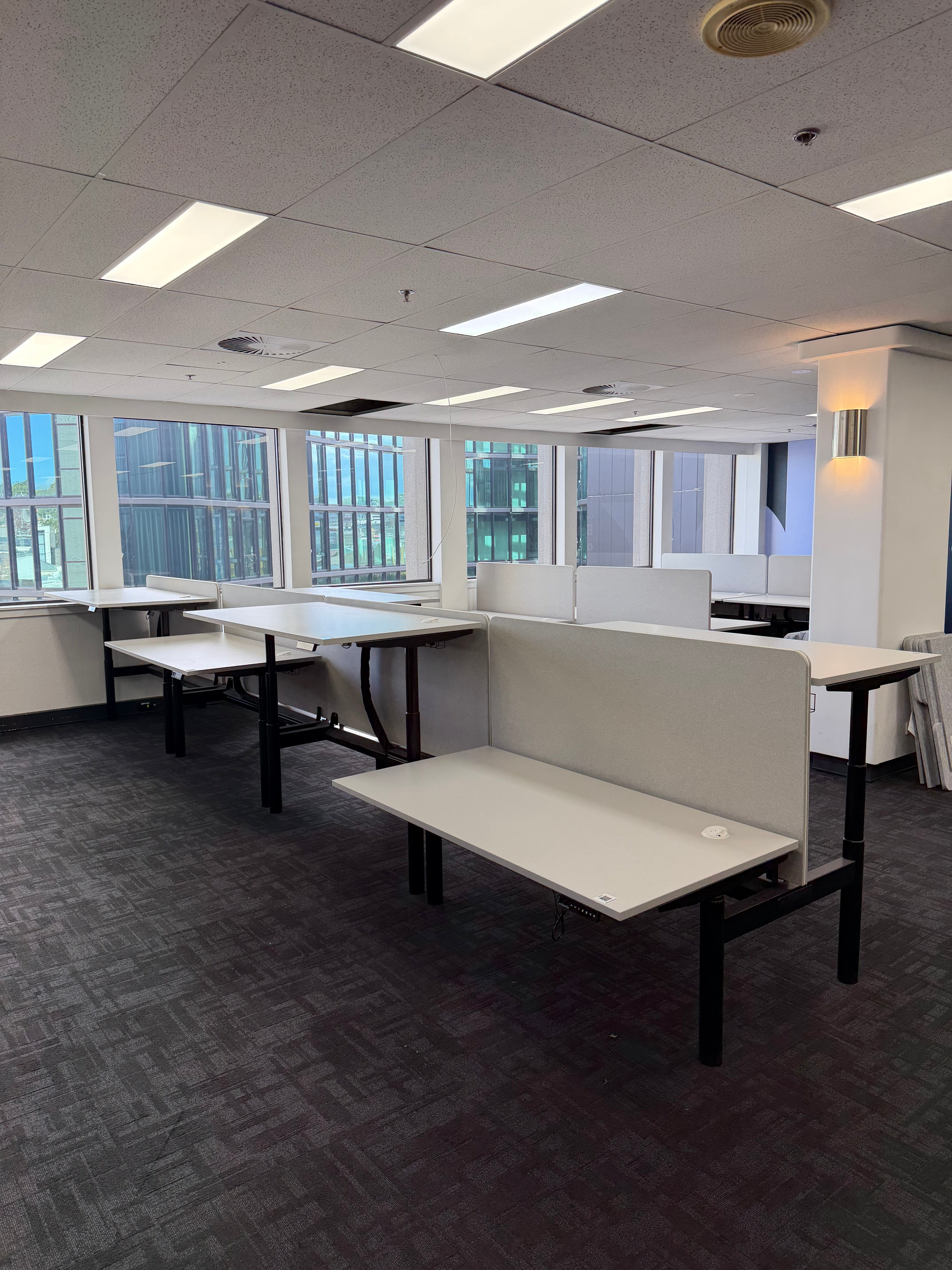 Schiavello Back-to-Back Electric Standing Desk