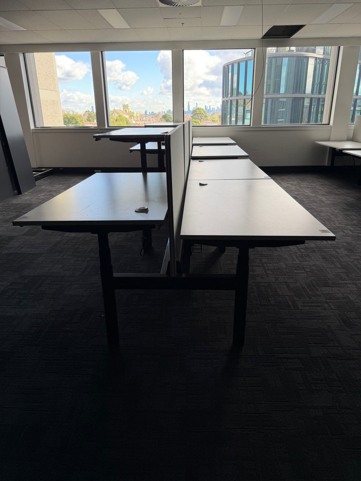 Schiavello Back-to-Back Electric Standing Desk