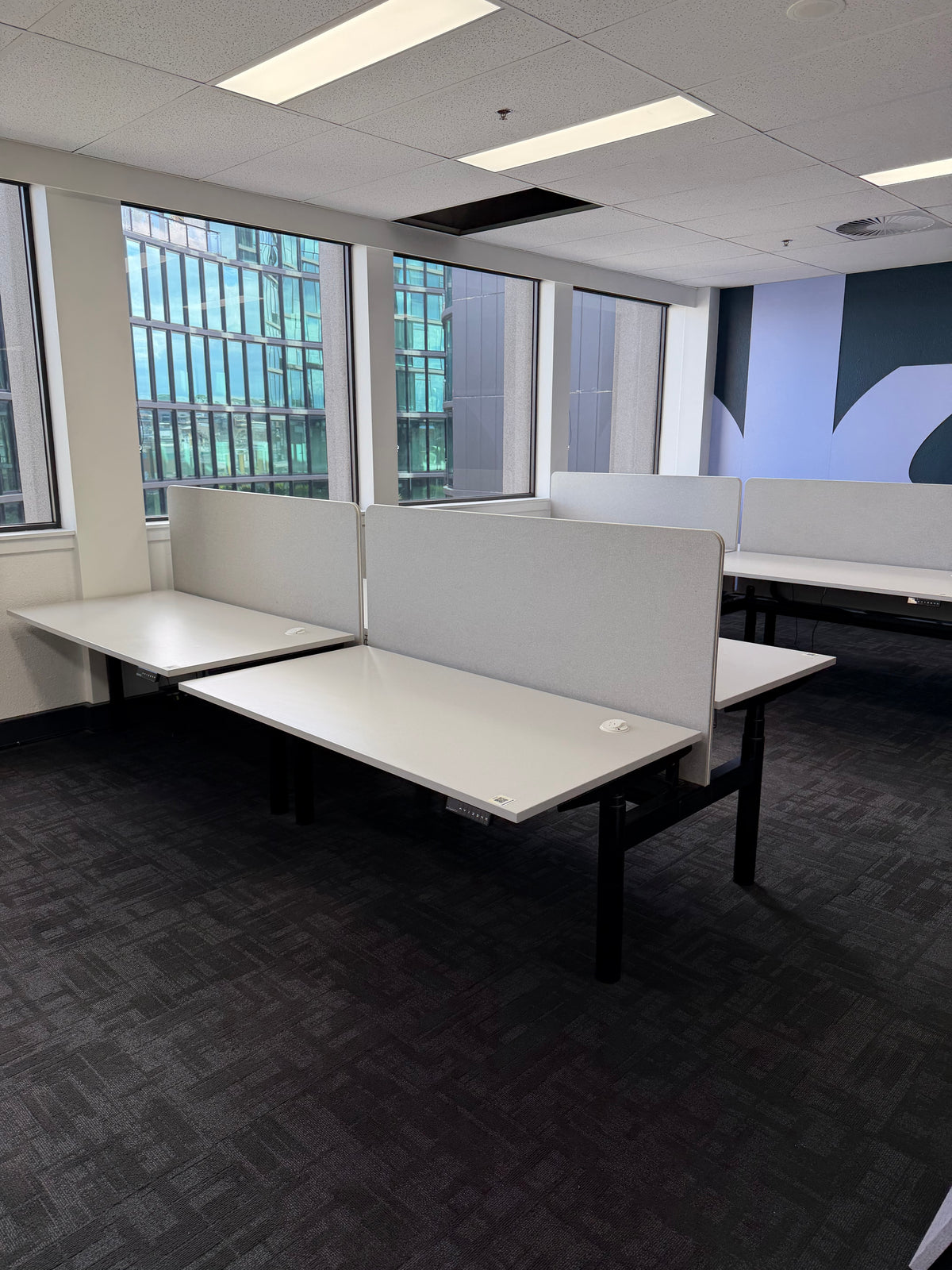Schiavello Back-to-Back Electric Standing Desk
