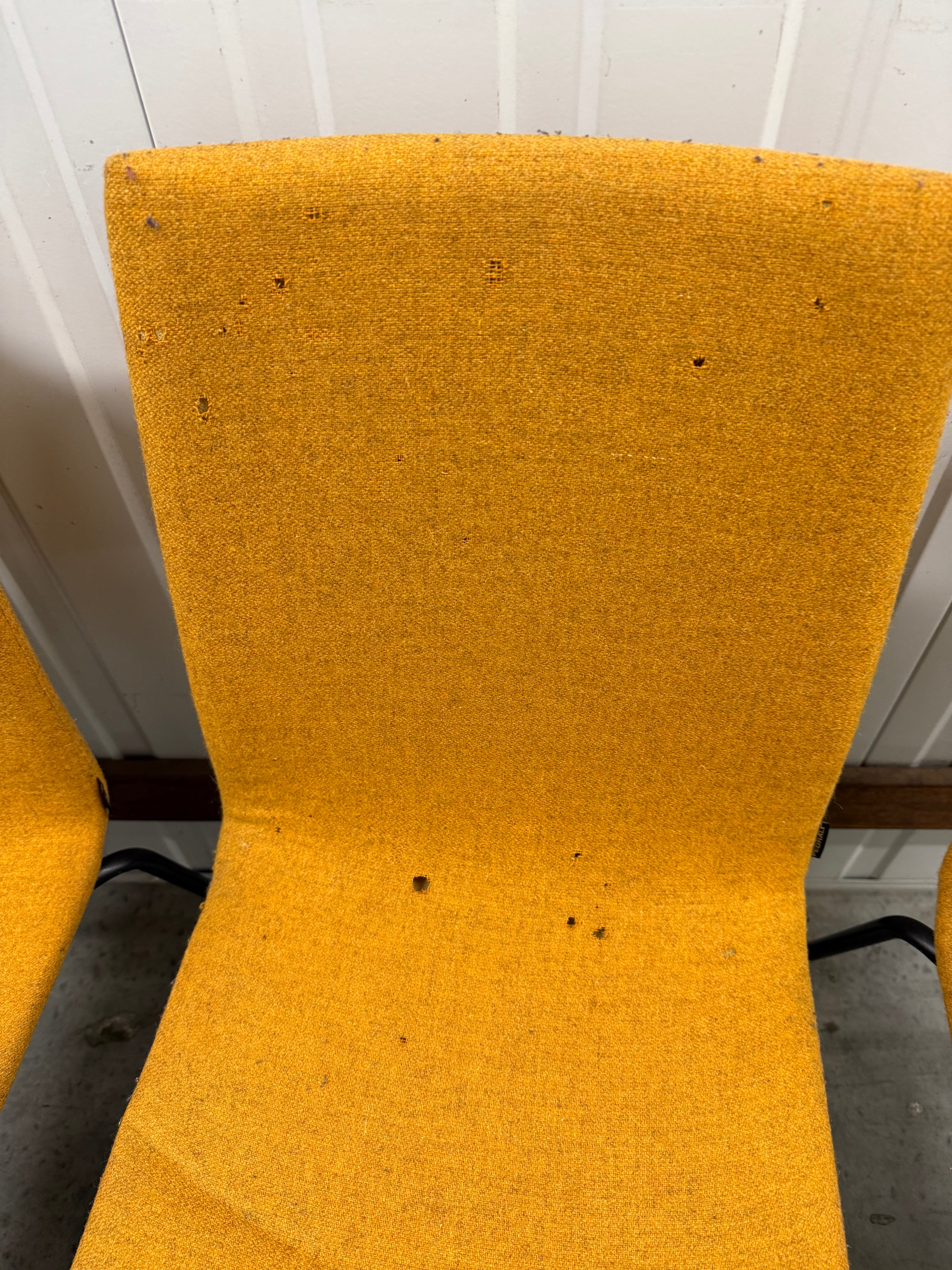 Original Pedrali Kuadra Chair – Minimalist Italian Design