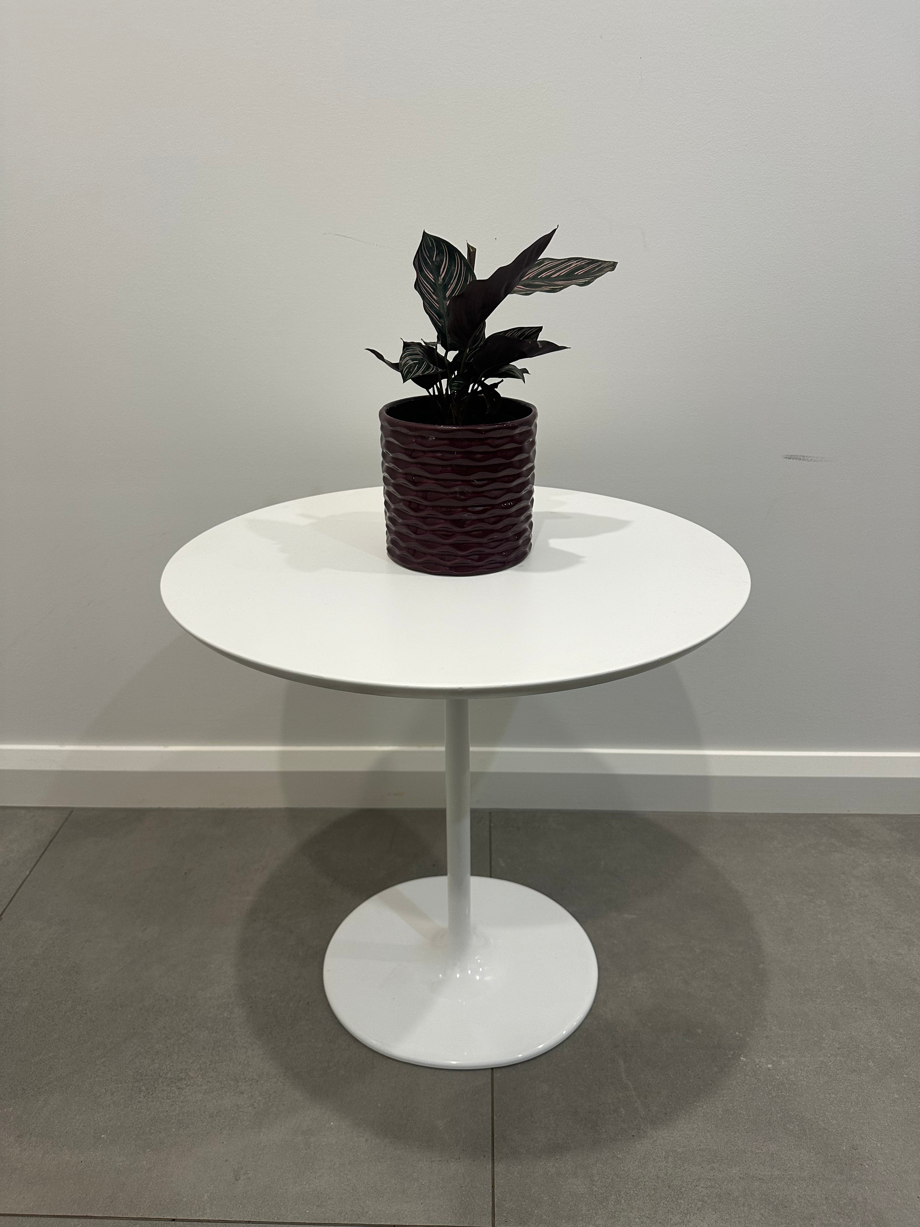 Arper Dizzie Side Table - White/White