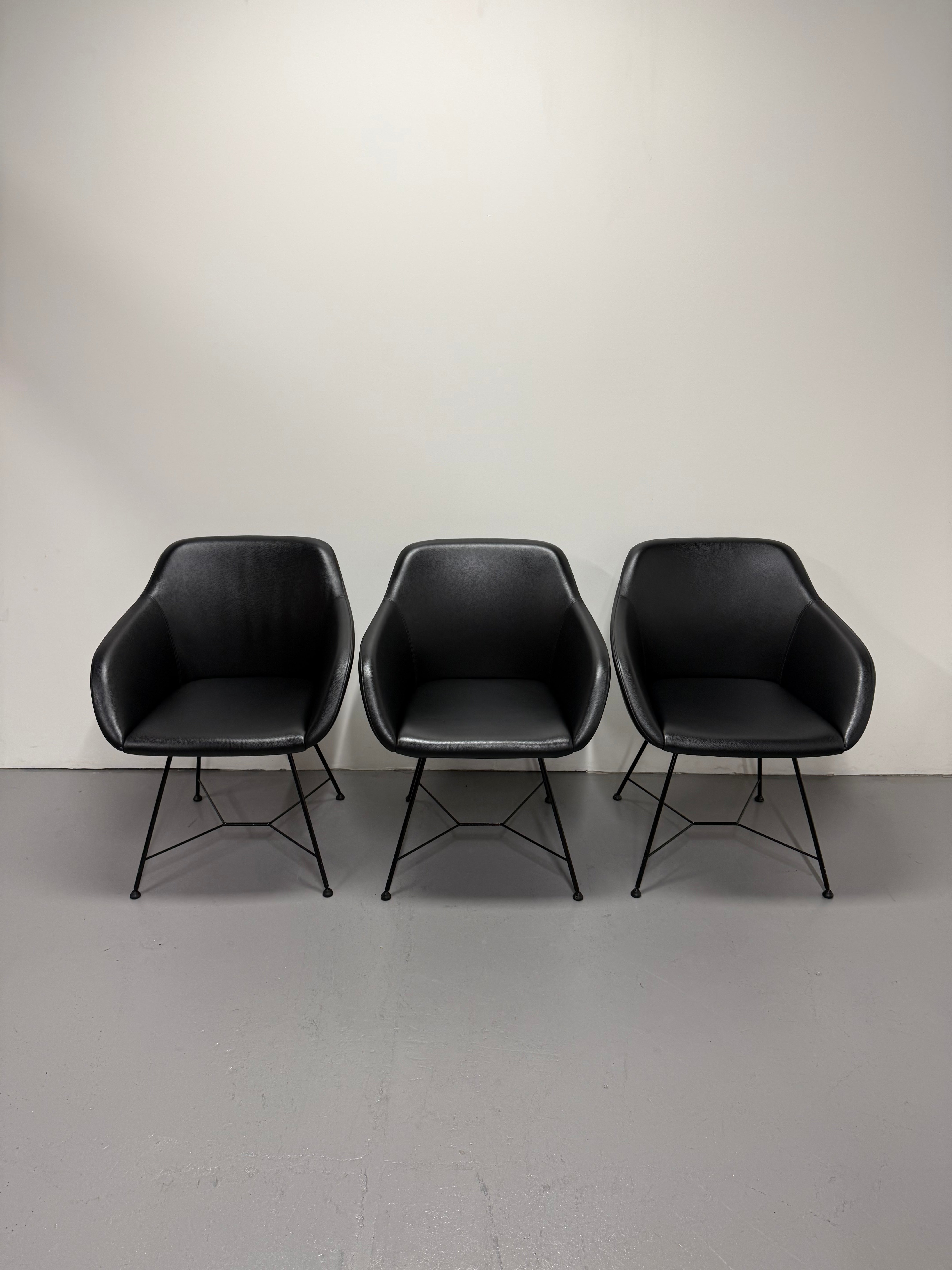 Walter Knoll Turtle Chair - Black Leather with Wire Base