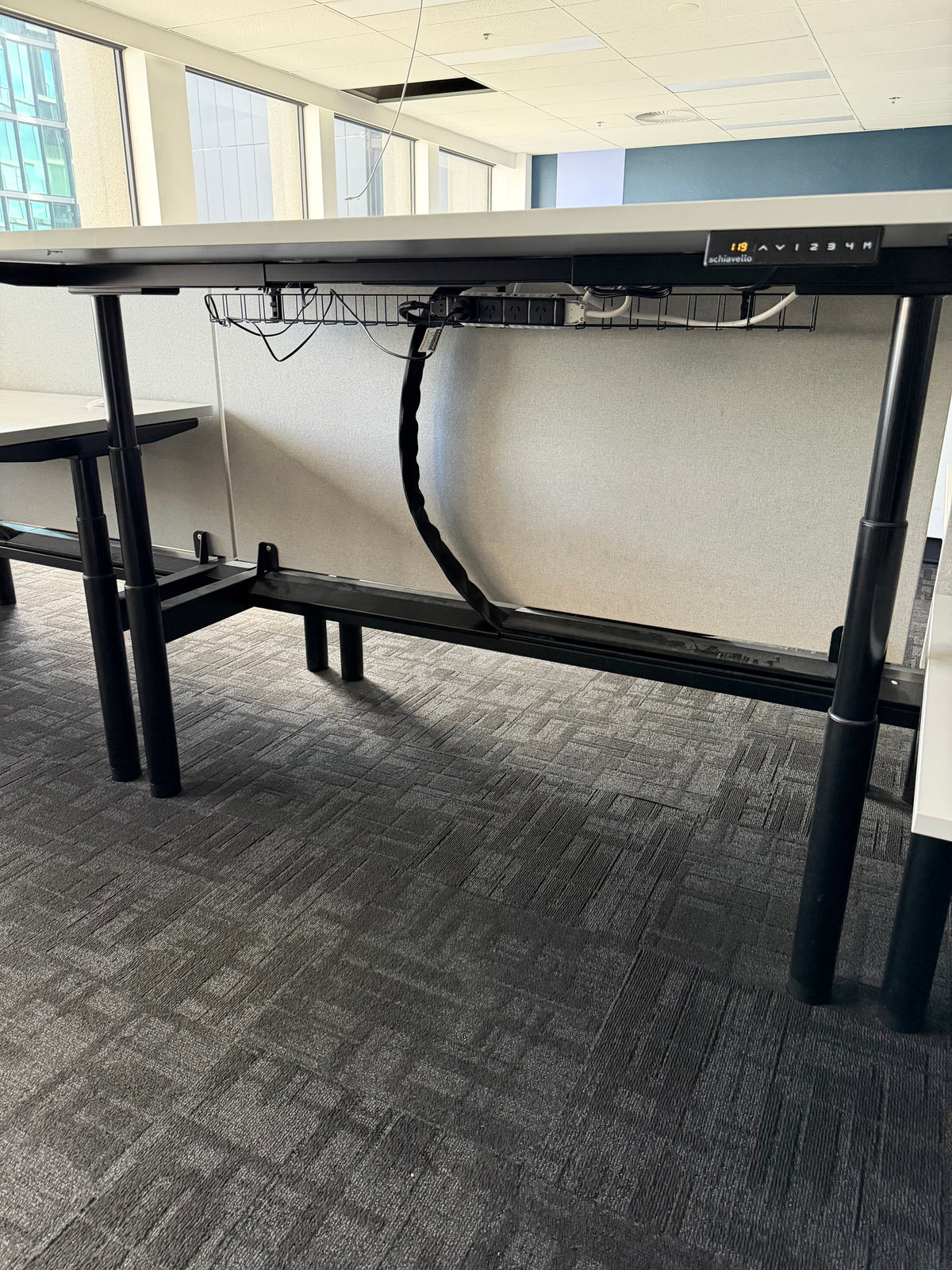 Schiavello Back-to-Back Electric Standing Desk