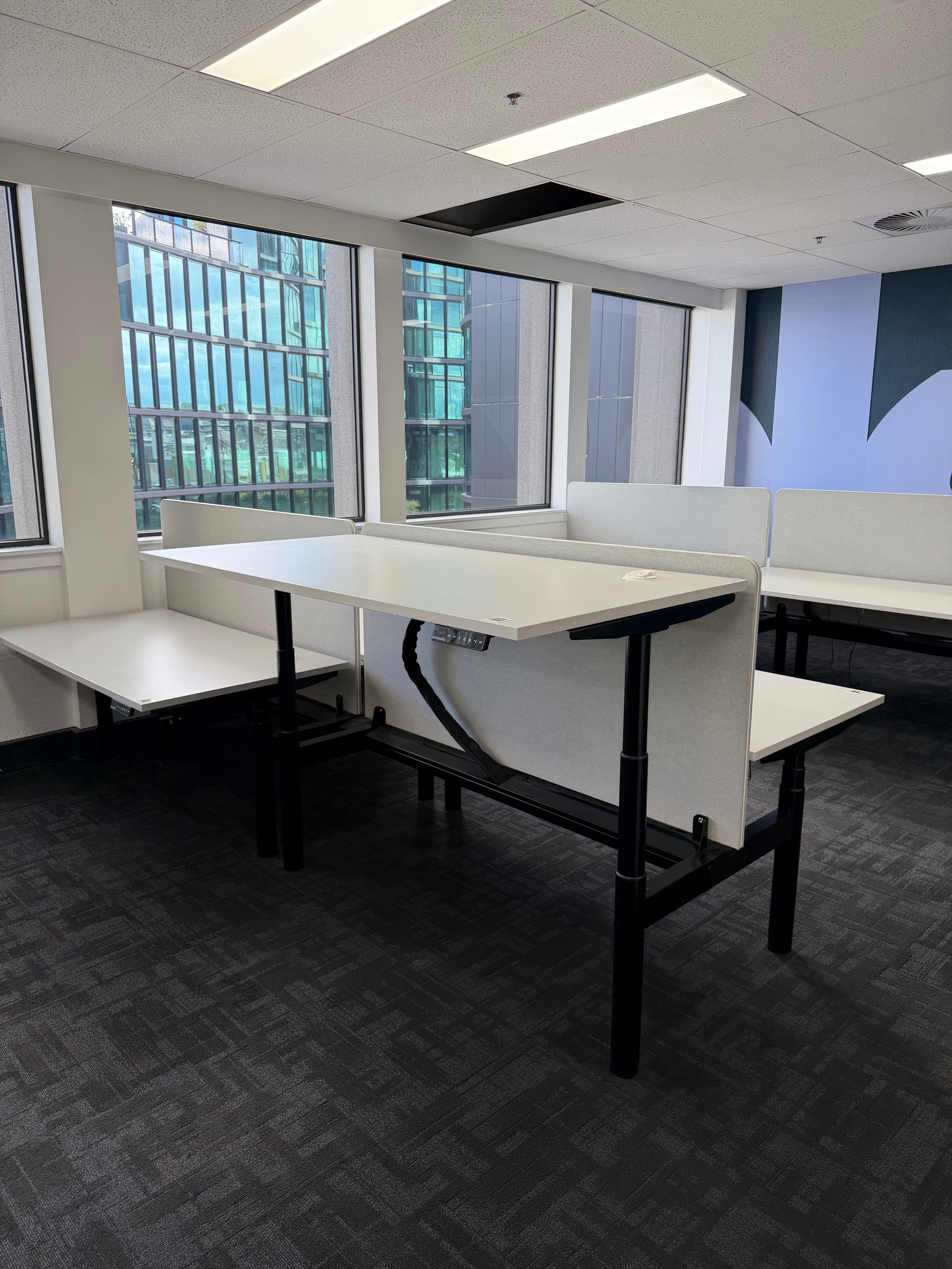 Schiavello Back-to-Back Electric Standing Desk