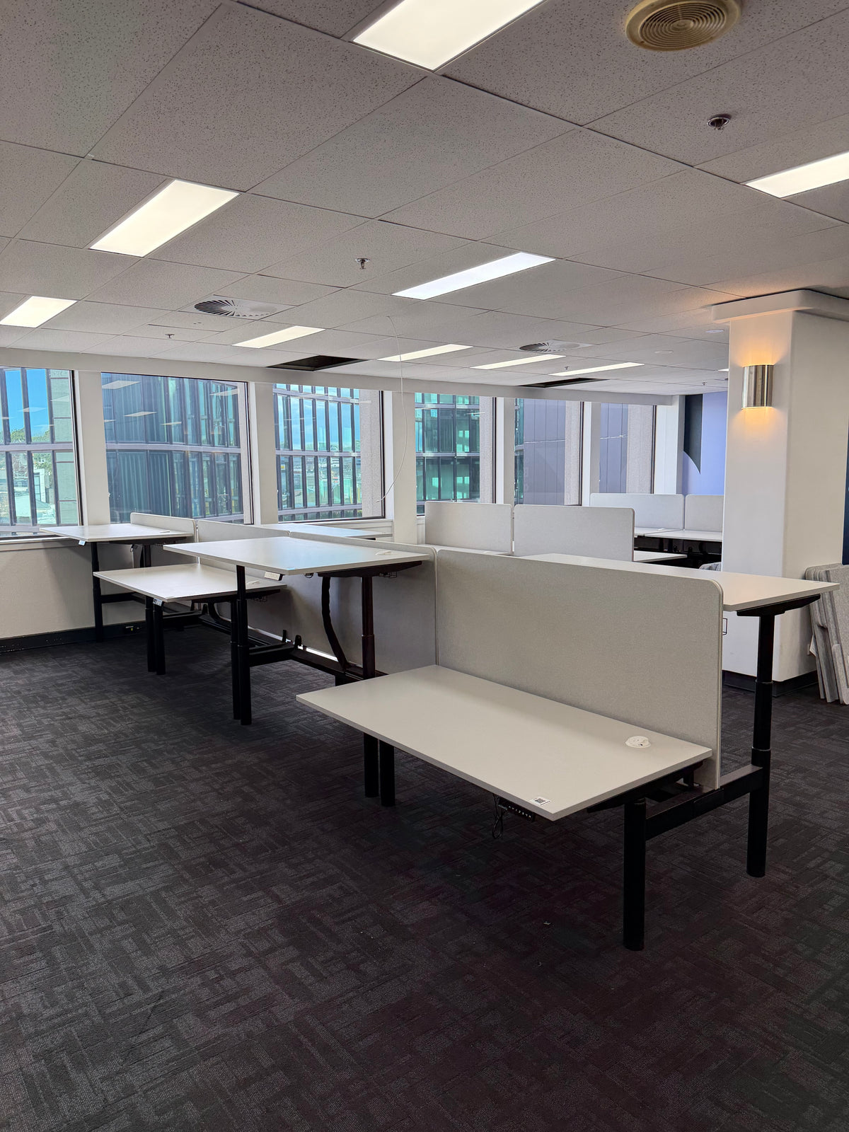 Schiavello Back-to-Back Electric Standing Desk